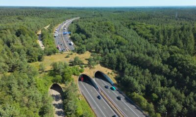 CICM impulsa carreteras ecológicas para proteger la biodiversidad