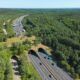 CICM impulsa carreteras ecológicas para proteger la biodiversidad