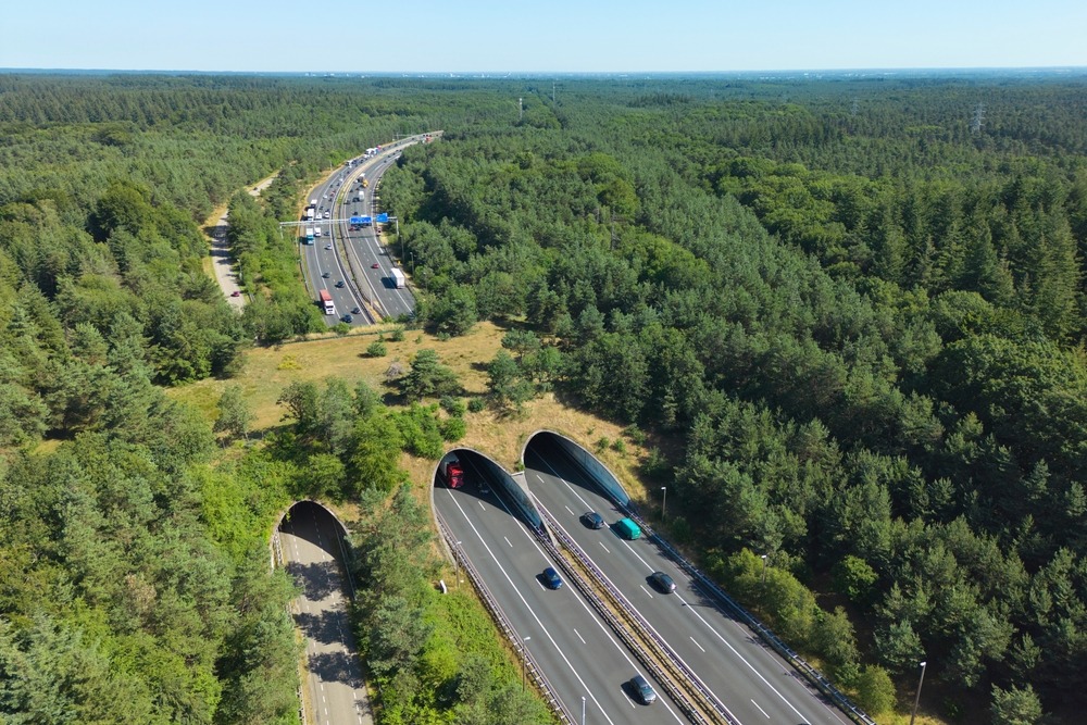 CICM impulsa carreteras ecológicas para proteger la biodiversidad