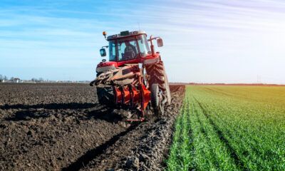 Cómo la logística circular combate el desperdicio de alimentos en México