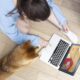 Compras de alimento para mascotas por internet aumentan en México