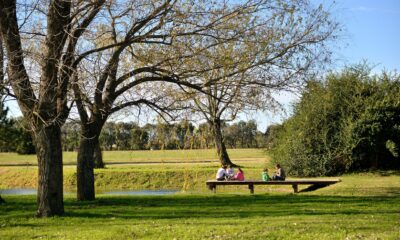 La tendencia que cambia la forma de habitar las ciudades