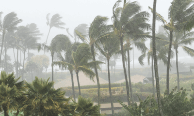 Temporada de huracanes en el Atlántico 2026 llaman a fortalecer estrategias de prevención