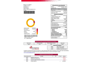 Aproveche la información del Estado de Cuenta de la TC