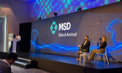 Especialistas analizan retos de vacunación y desparasitación en mascotas en México