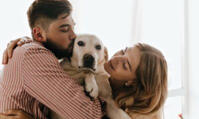 Expertos actualizan recomendaciones de vacunación para perros y gatos