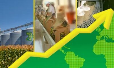 Gruma reporta margen EBITDA del 16.8 por ciento y alta demanda de sus productos a nivel mundial