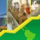 Gruma reporta margen EBITDA del 16.8 por ciento y alta demanda de sus productos a nivel mundial