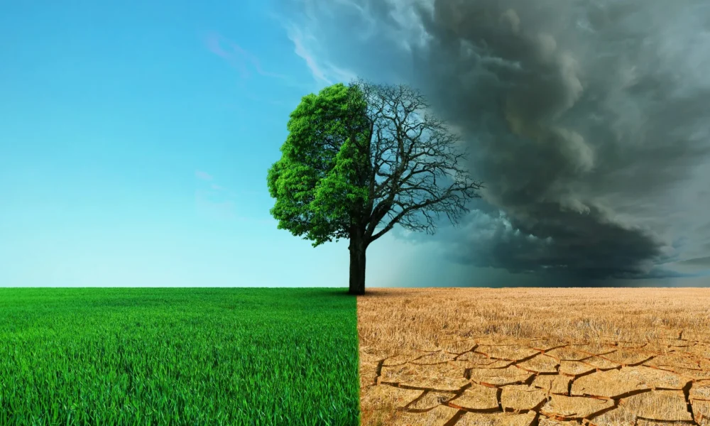 México requiere mayor financiamiento para cumplir sus metas climáticas