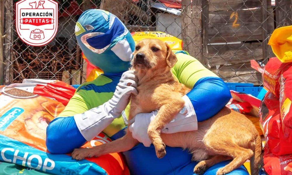 Mitsubishi va por más croquetas con Operación Patitas