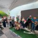 “Peludos Mundialistas” reúne a familias y mascotas en Coyoacán