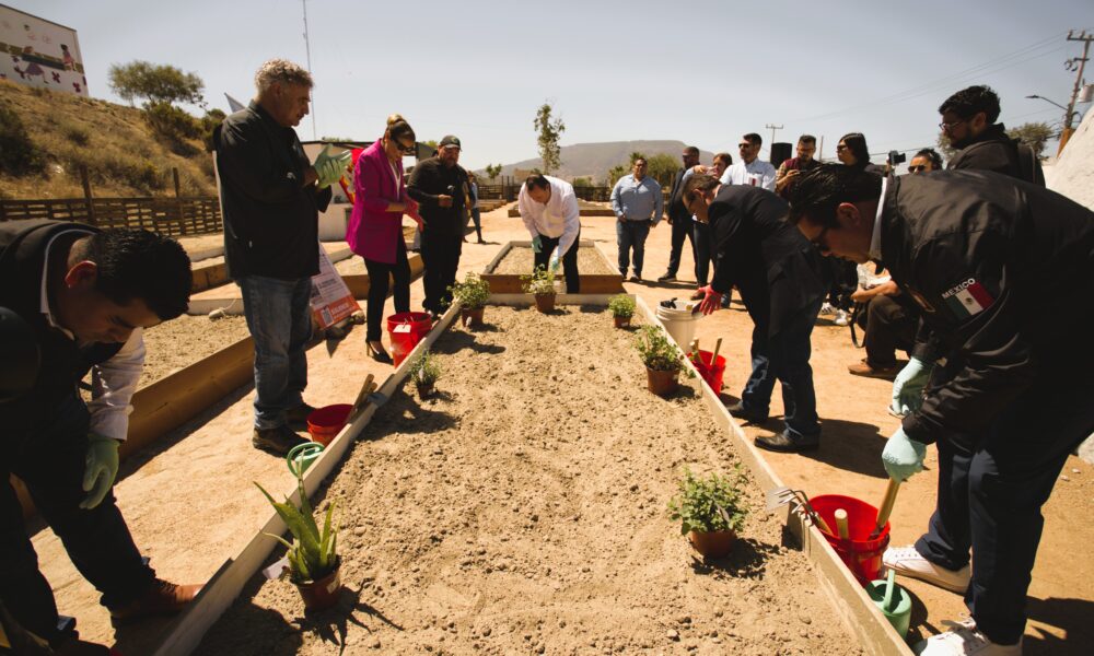 Ruba impulsa proyecto comunitario y sustentable en Tijuana
