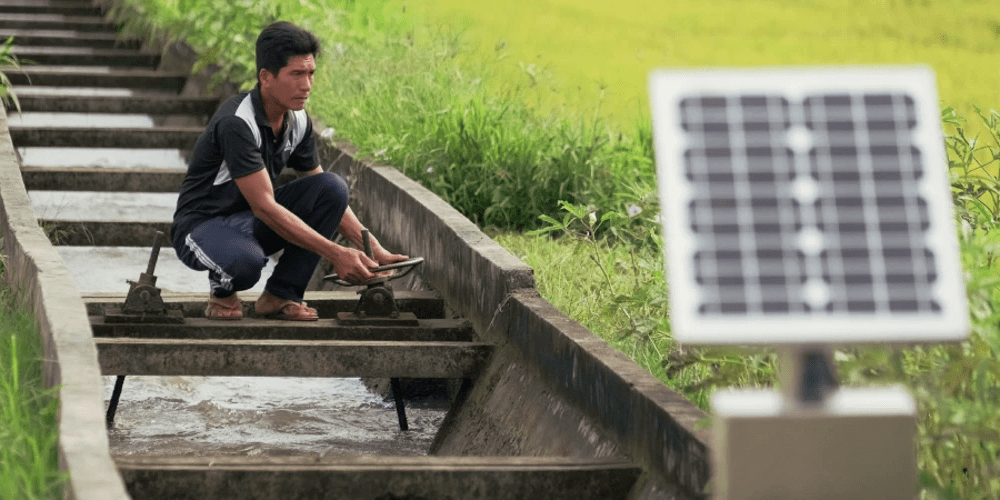 Banco Mundial: mejor uso del agua impulsará la seguridad alimentaria y el empleo