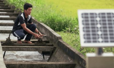 Banco Mundial: mejor uso del agua impulsará la seguridad alimentaria y el empleo
