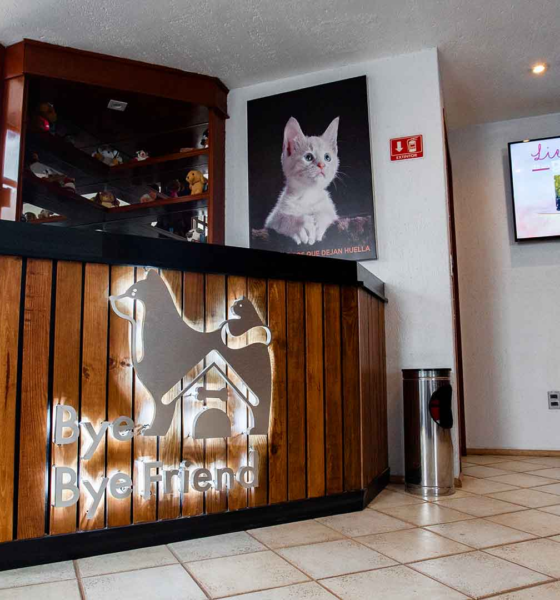 Los mexicanos ya velan a sus mascotas; crecen los santuarios funerarios para "perrijos" y "gatijos"