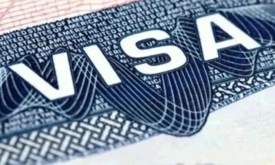 Mayor revisión de visas en EU impulsa interés por estrategias de movilidad patrimonial