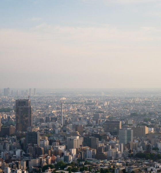 Nueva plataforma concentra información para la planeación climática en México