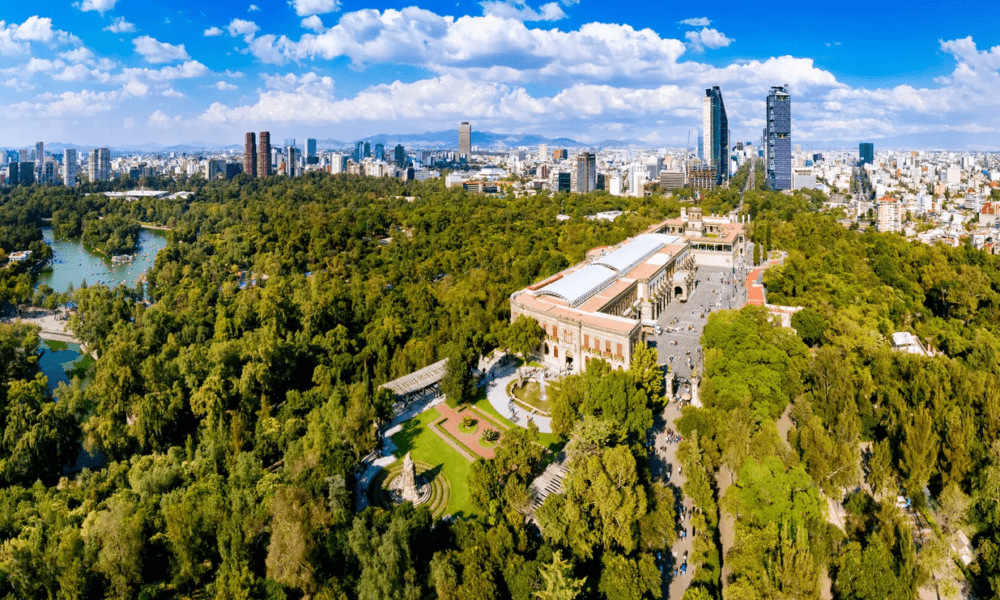 Scotiabank México participa en labores de conservación del Bosque de Chapultepec
