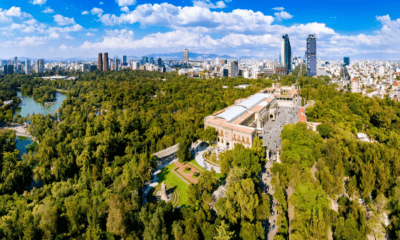 Scotiabank México participa en labores de conservación del Bosque de Chapultepec