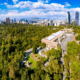 Scotiabank México participa en labores de conservación del Bosque de Chapultepec